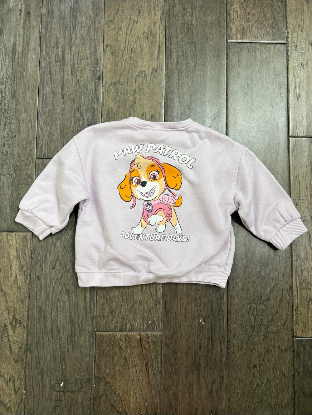 Zara Kids x Paw Patrol Crewneck